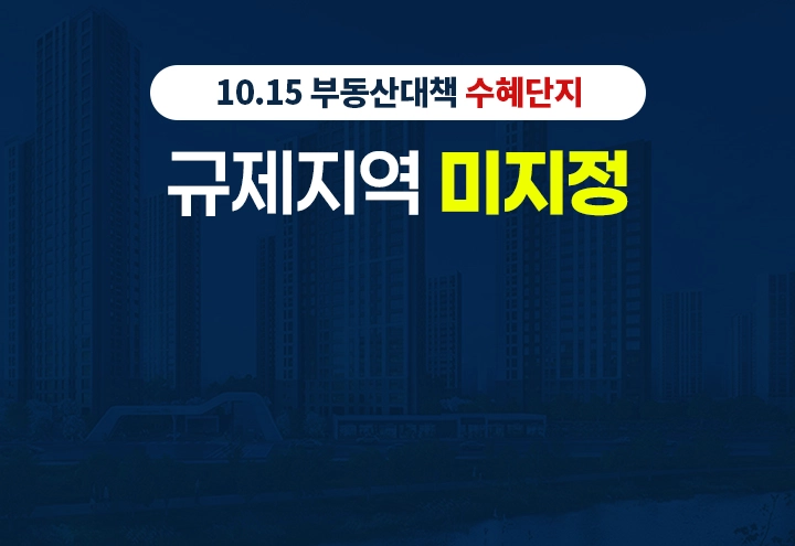 10.15 부동산대책 수혜단지 규제지역 미지정